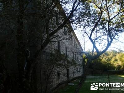 Castañar de la Sierra de San Vicente - Convento del Piélago;mochilas para trekking;tejo taxus bacc